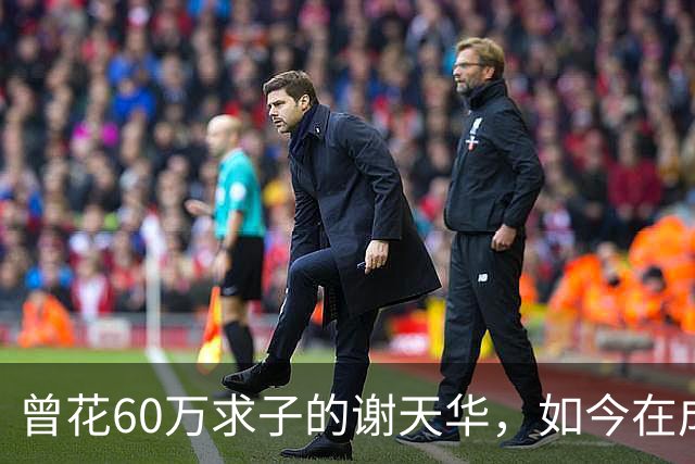 曾花60万求子的谢天华，如今在成都陪11岁儿子喂熊猫，状态太真实